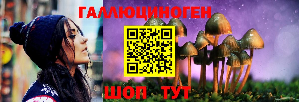 Ивантеевка  Галлюциногенные грибы Psilocybine cubensis  как найти наркотики  Вход с VPN  Псилоцибиновые грибы прущие грибы 